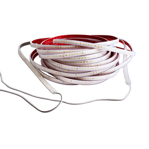 LED Stripes ab IP44 bei LES Lochmann Elektro Service in Holzweißig